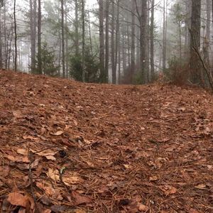 Meet your Posher, Caleb